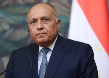 سامح شكري لبيدرسن: مصر تؤيد بسط سوريا (النظام) لسيادتها على كامل ترابها الوطني!!
