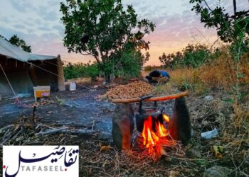 مشهد ريفي في إدلب.. عدسة حسام أحمد الخلف