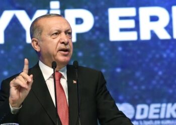 أردوغان: إسرائيل ستأتي إلى الشمال السوري لحظة احتلالها لدمشق