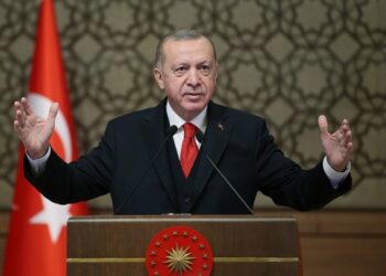 أردوغان: تركيا تعمل على توطيد العلاقات مع الدول الخليجية