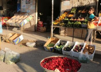 كم بلغت نسب ارتفاع أسعار المواد الغذائية شمال غربي سوريا خلال شهر آب؟