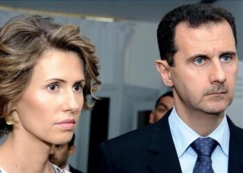 إعلامية موالية تصف عائلة أسماء الأسد بـ “الكلاب”
