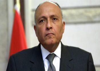 شكري يعتبر عودة نظام الأسد للجامعة العربية أمر حيوي!