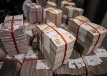 الليرة التركية تحافظ على سعر صرفها في تعاملات الأحد
