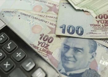 رقم قياسي جديد.. انخفاض قيمة الليرة التركية مقابل العملات الرئيسية