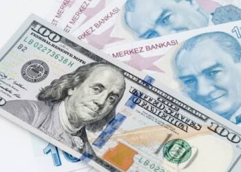 رقم قياسي جديد.. انخفاض قيمة الليرة التركية مقابل الدولار الأمريكي