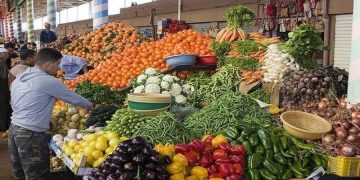 الحكومة توقف استيراد الخضراوات.. خبراء: خطوة لحماية الإنتاج المحلي واستعادة التوازن الزراعي