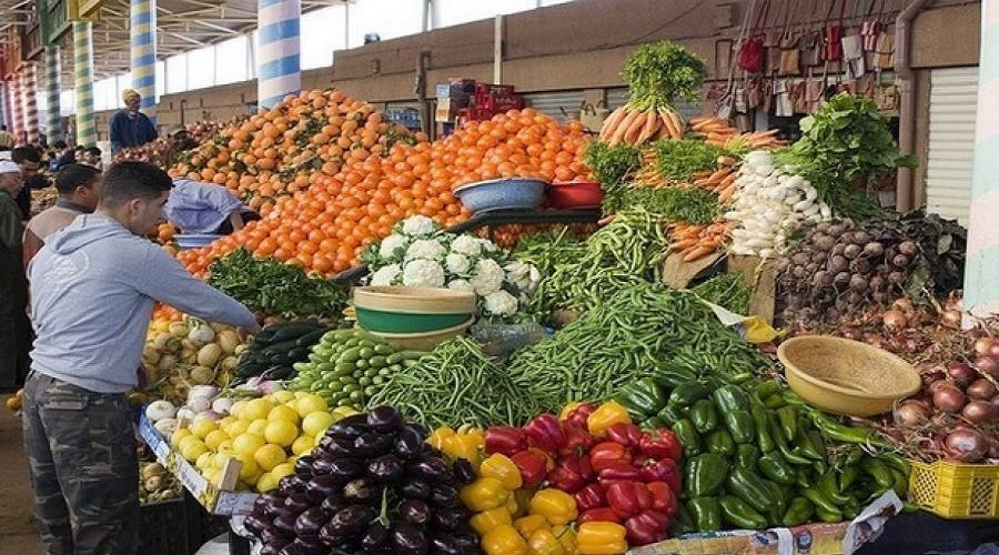 الحكومة توقف استيراد الخضراوات.. خبراء: خطوة لحماية الإنتاج المحلي واستعادة التوازن الزراعي