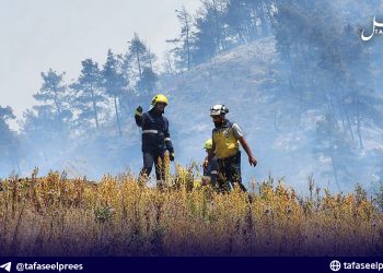 كوارث الحرائق في سوريا.. بين فشل الاستجابة المتكررة والحلول الممكنة برؤية خبير