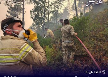 وزير الطوارئ وإدارة الكوارث: الوضع هو الأفضل منذ 10 أيام.. والعمل مستمر حتى إخماد آخر شعلة نار
