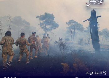 النتائج كارثية والتحديات كبيرة.. درغام يكشف الأسباب الاقتصادية للحرائق في سوريا