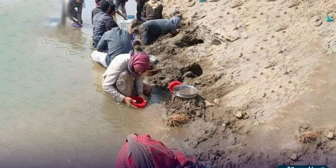 العشرات يبحثون عن الذهب على ضفاف الفرات بالرقة.. ما القصة؟