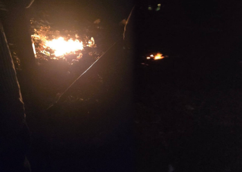 إحباط محاولة لإشعال حريق بمزارع الزيتون في ريف دمشق