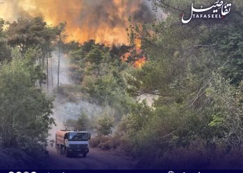 سوريا تخسر غطائها الأخضر.. الأمم المتحدة تتحرك خوفا من كارثة بيئية
