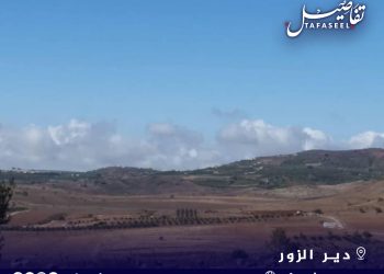 دير الزور.. اشتباكات في بلدة ذيبان عقب مقتل شاب برصاص قسد