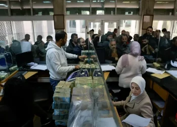 هل يمكن إصلاح الوظيفة الحكومية؟.. دكتور جامعي: الحل بالاستثمار في الإدارة الذكية والتقنيات الرقمية