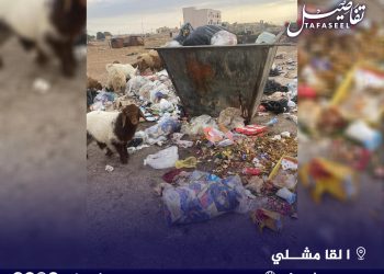 أزمة النفايات في القامشلي تزيد من انتشار النبّاشين وتضاعف معاناة الأهالي