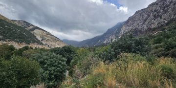 غداً منخفض جوي مرفق بكتلة هوائية قطبية باردة ورطبة وثلوج تراكمية فوق أغلب المناطق
