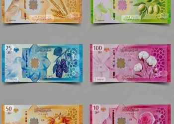 خبيران اقتصاديان: ضبط السيولة والشفافية مفتاح استقرار الأسواق خلال استبدال العملة