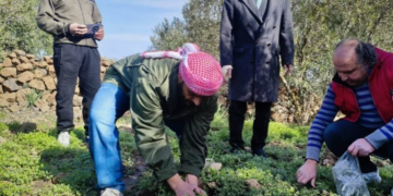 القنيطرة.. أخذ عينات من أراضٍ رشها طيران الاحتلال الإسرائيلي بمادة مجهولة