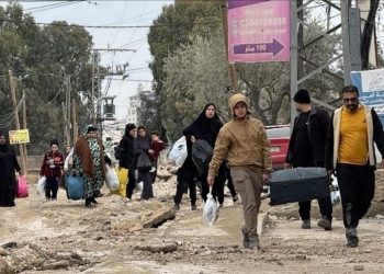 الهجرة الدولية: العالم يسجل أعلى حصيلة نازحين وسوريا نموذج للعودة الطوعية