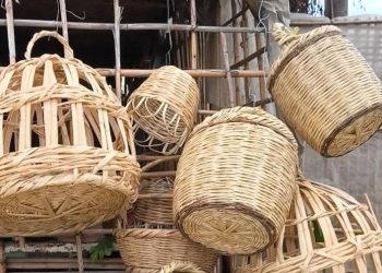 مورد طبيعي غير مستثمر.. القصب يفتح باب العمل اليدوي في طرطوس