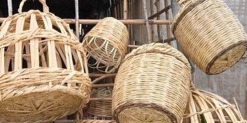 مورد طبيعي غير مستثمر.. القصب يفتح باب العمل اليدوي في طرطوس