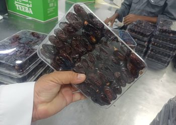 أسعار التمور ترتفع مع اقتراب رمضان