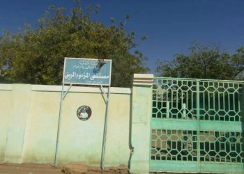 قوات “الدعم السريع” تصعد قصفها ومطالبات دولية بوقف توريد الأسلحة إلى السودان